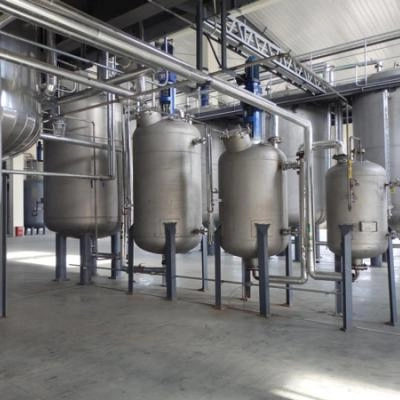 2000 Tons Per Year of TBHQ Synthesis Area DTBHQ Production Area